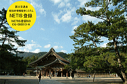 樹木の樹勢回復事業